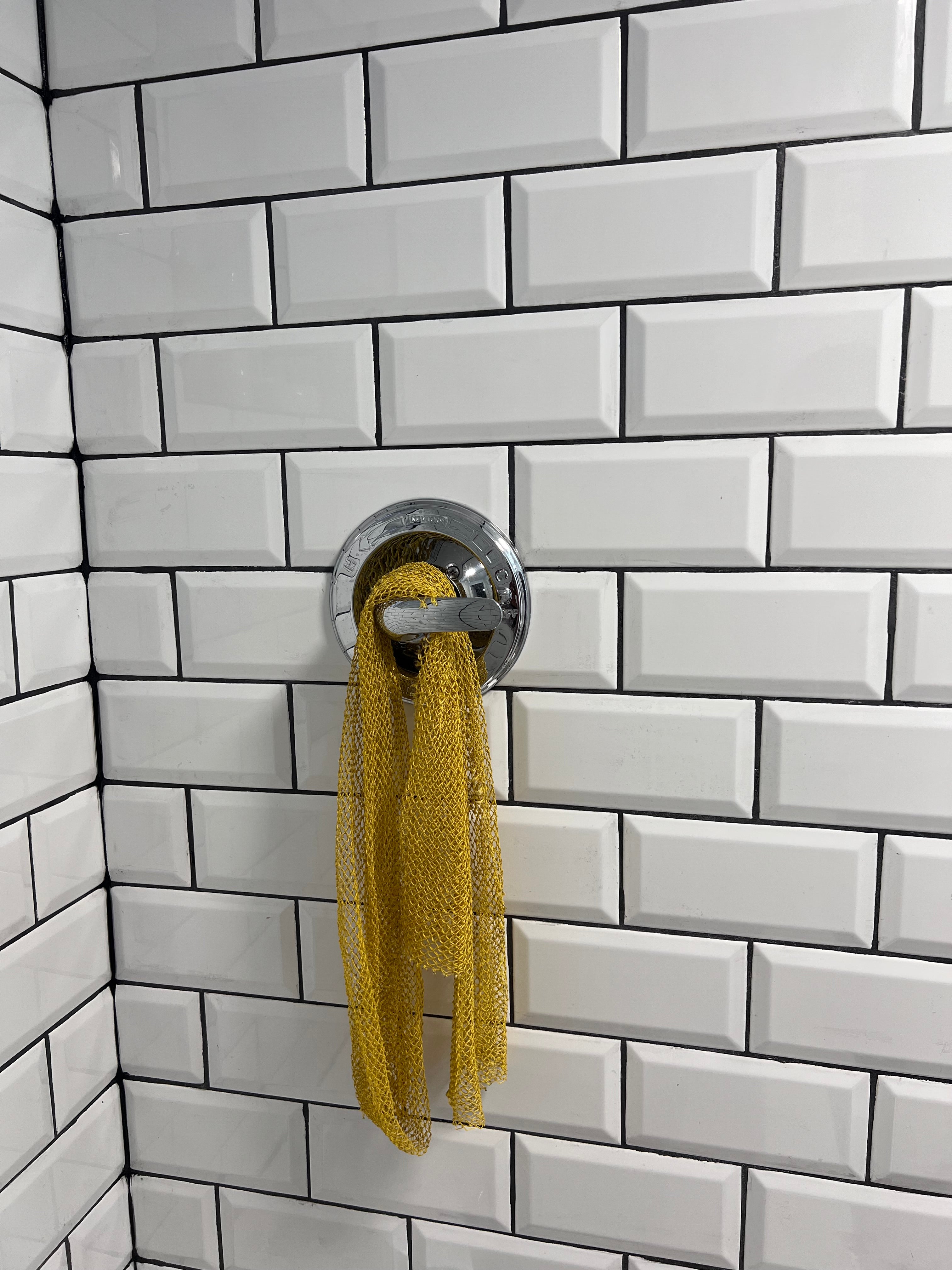 African Net Sponge